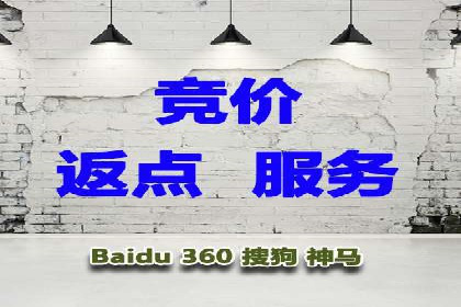 网络推广与竞价广告：双管齐下的策略案例